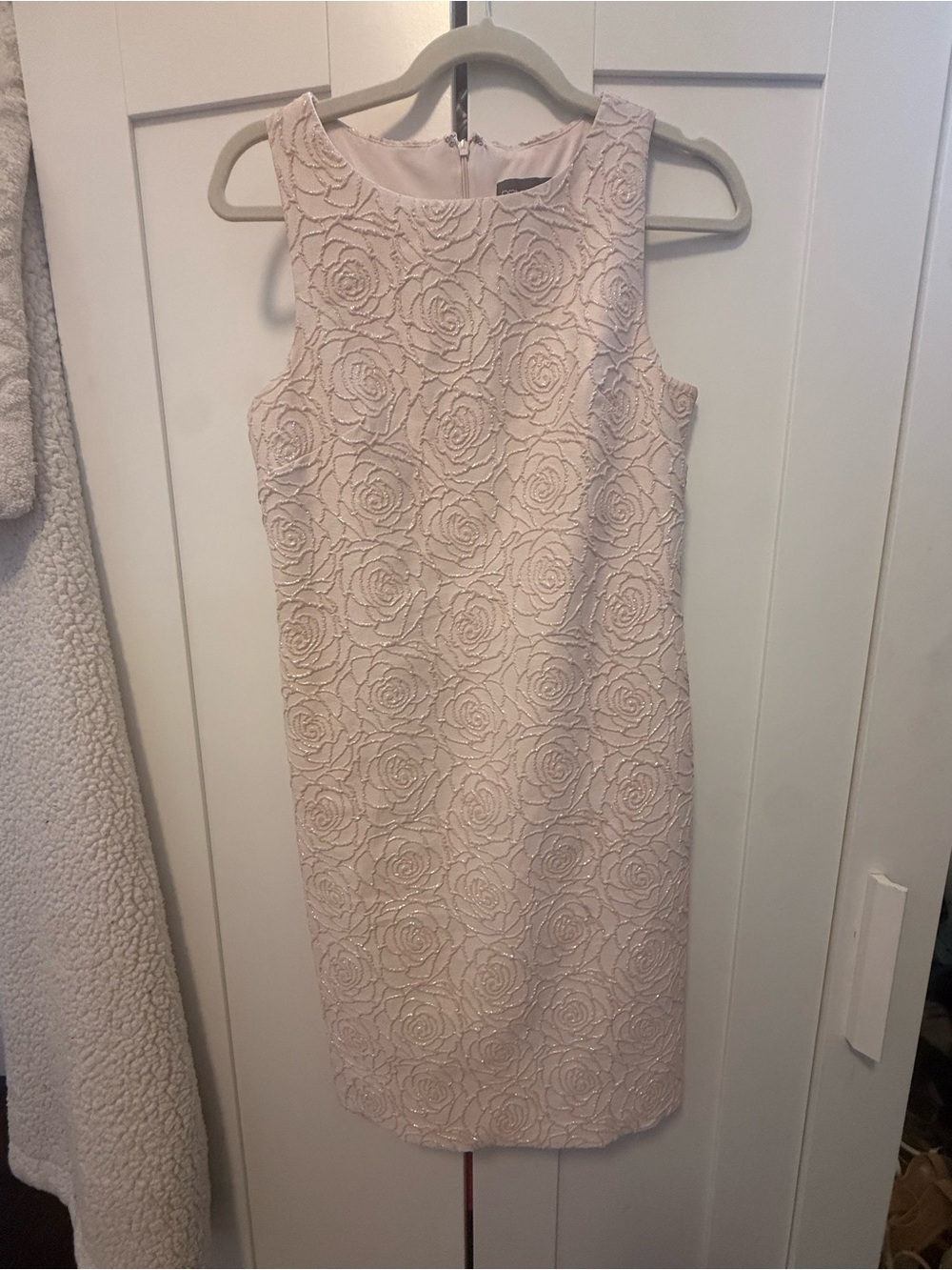 Donna Ricco Blush Rose Lace Sheath Dress